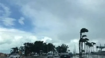 تقلبات جوية حادة.. الأرصاد تحدد خريطة سقوط الأمطار المتوقعة خلال الأسبوع المقبل